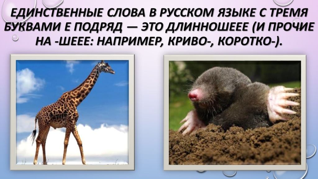 Слайд4.jpg